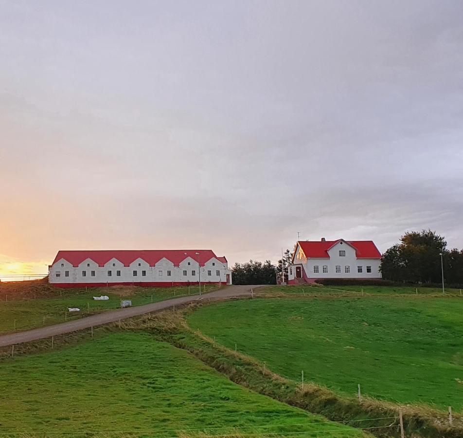 Helluland Guesthouse Saudarkrokur المظهر الخارجي الصورة